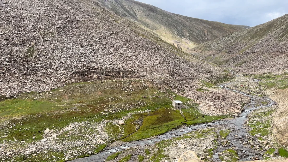 A clear mountain stream running between stones and green grass